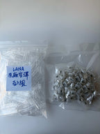 LANA空彈 原廠正版 一代透明空倉 百入組
